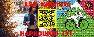 кокс Можга