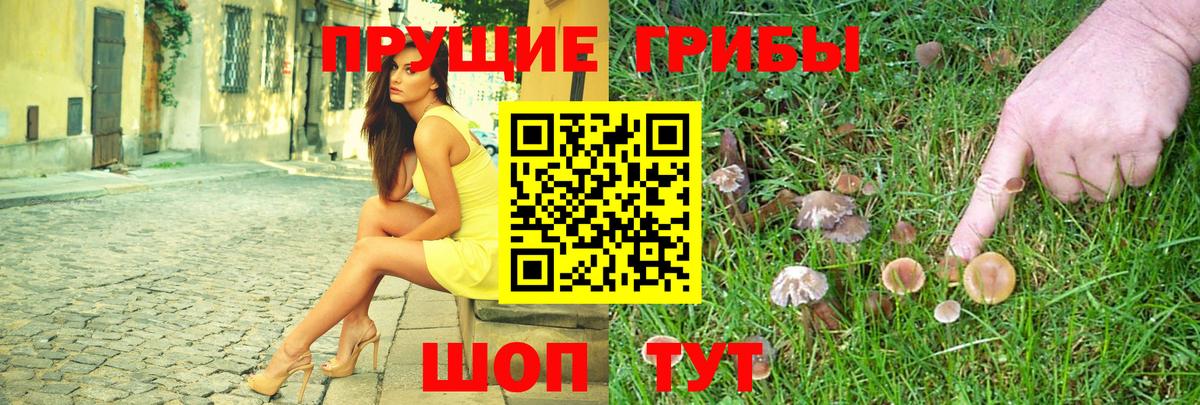 Галлюциногенные грибы мицелий Тверь