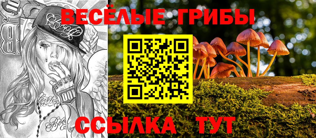 как найти закладки  Галлюциногенные грибы Cubensis  Вход с VPN  Тверь 