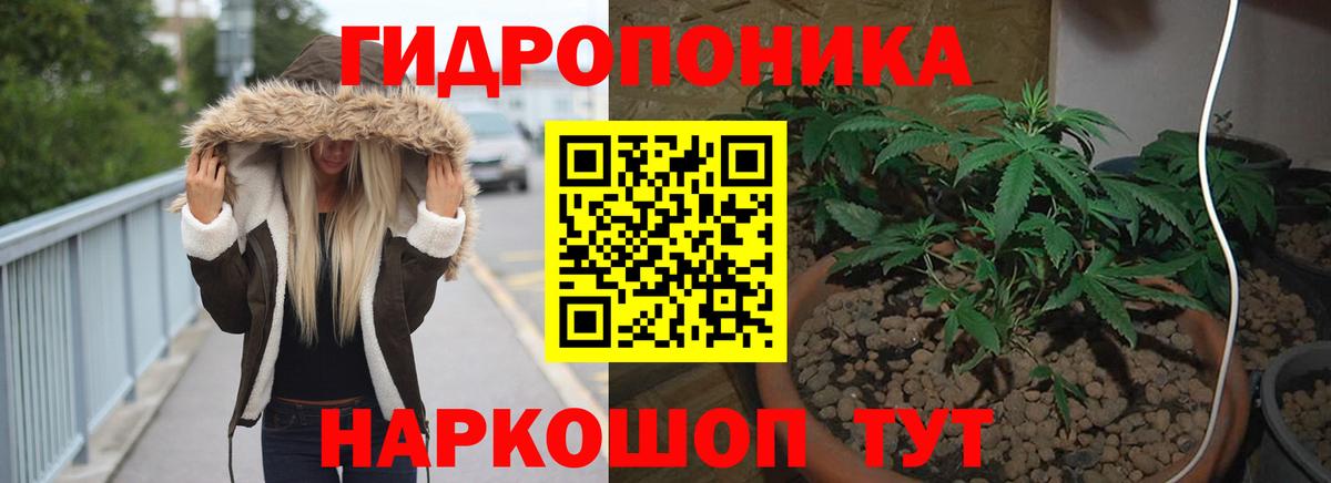 Конопля ГИДРОПОН Тверь